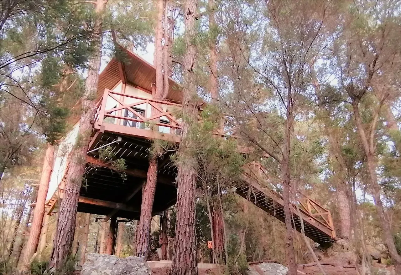 Ferienhaus Casita Colgada 