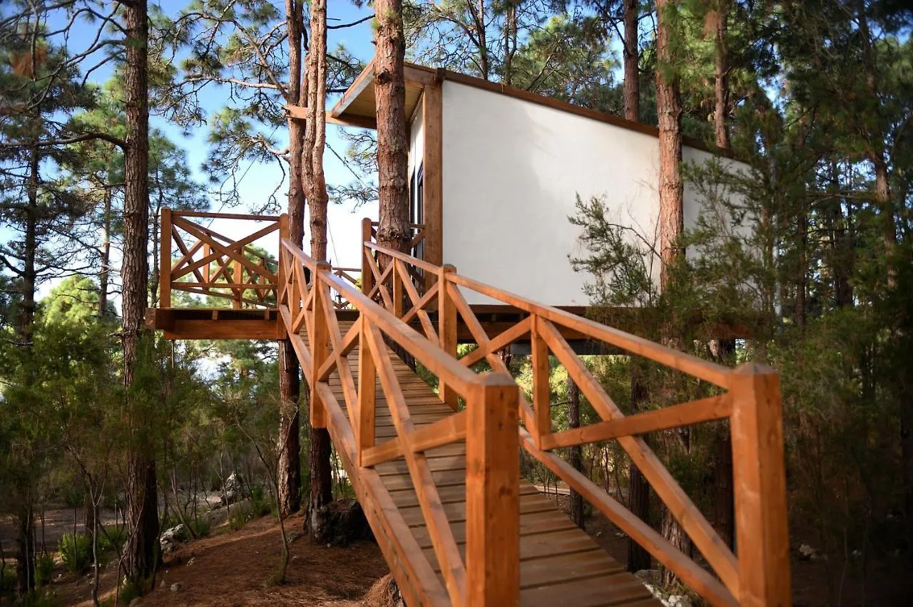 Casita Colgada 