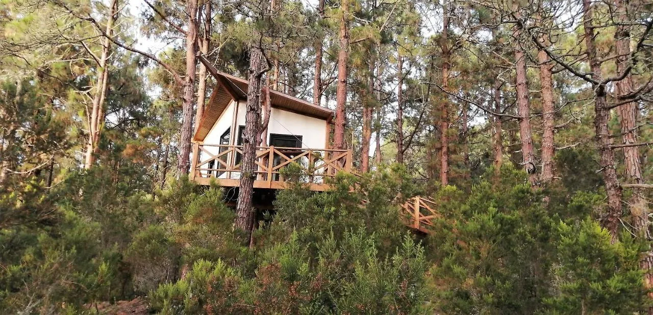 Casita Colgada 